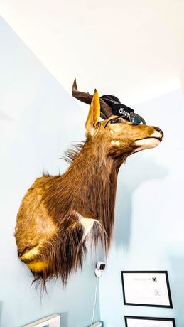 Imagen de los interiores del Hotel Isetta Inn (Boutique Hostel). Foto 18