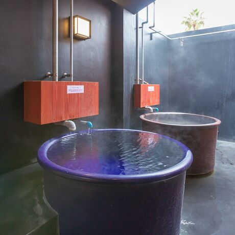 Imagen general del Hotel Iseya. Foto 15