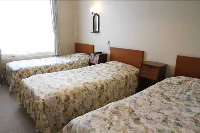 Imagen de la habitación del Hotel Ishiuchi Pension Bruges. Foto 7