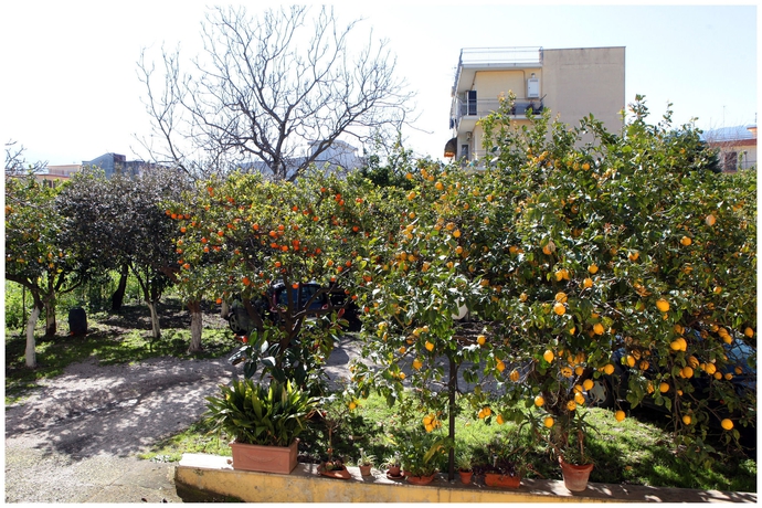 Imagen de los exteriores del Hotel Iside. Foto 16