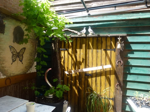 Imagen de los exteriores del Hotel Isis, Ámsterdam. Foto 13