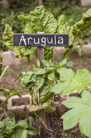 Imagen de los exteriores del Hotel Isla Verde, Santa Cruz La Laguna. Foto 12