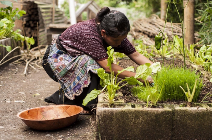 Imagen de los exteriores del Hotel Isla Verde, Santa Cruz La Laguna. Foto 13