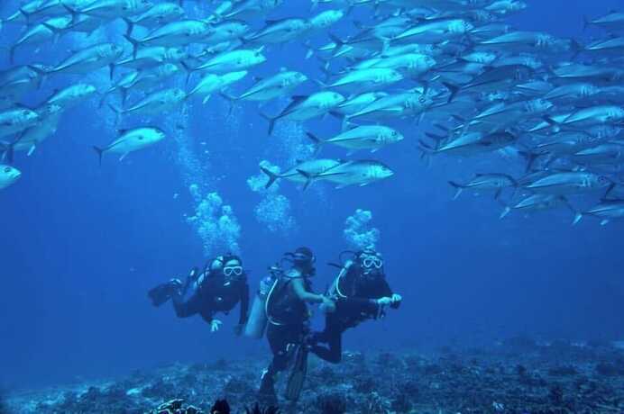 Imagen general del Hotel Island Front / Bangcogon Resort and Restaurant. Foto 11