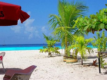 Imagen de los exteriores del Hotel Island Inn All Inclusive. Foto 10