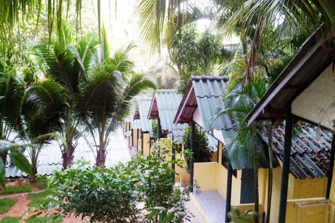 Imagen de los exteriores del Hotel Island Lodge. Foto 13