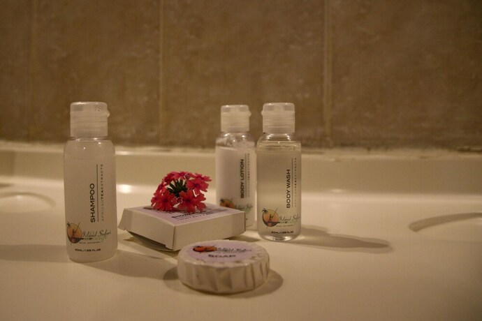 Imagen de la habitación del Hotel Island Safari Lodge. Foto 20