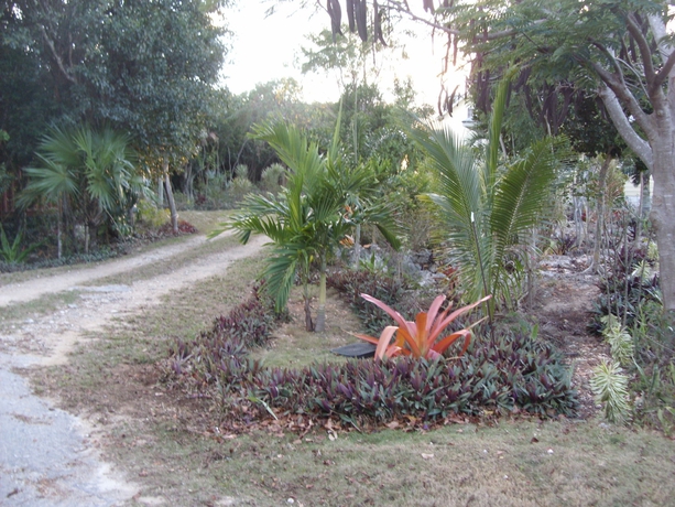 Imagen de los exteriores del Hotel Island Seaside Suites. Foto 16