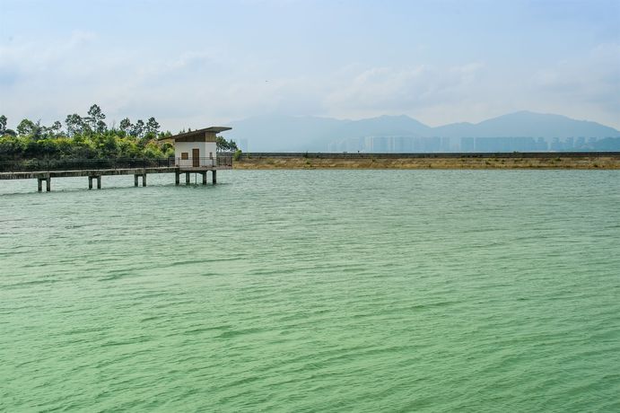 Imagen de los exteriores del Hotel Island Skylight Resort. Foto 10