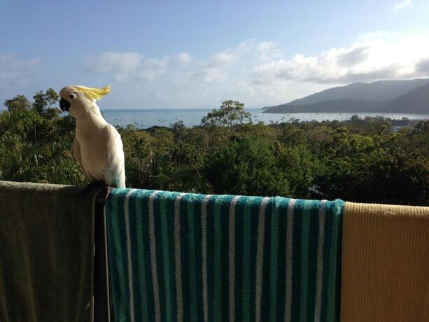 Imagen general del Hotel Island View, Airlie Beach. Foto 1