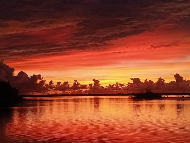 Imagen general del Hotel Island View Cottages. Foto 10