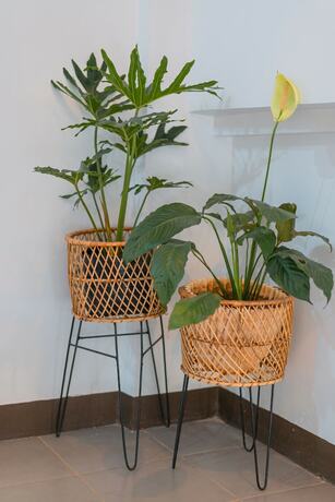 Imagen general del Hotel Island Wanderers Inn. Foto 6