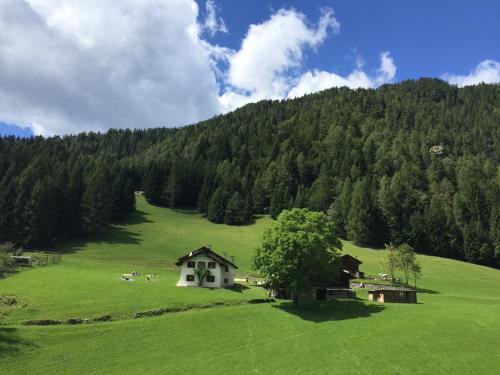 Imagen general del Hotel Isolabella Wellness. Foto 5