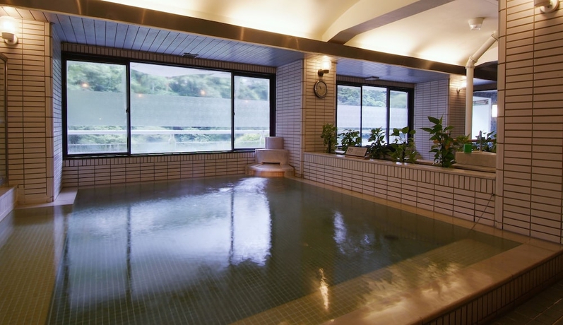 Imagen de la piscina del Hotel Isshinkan. Foto 14