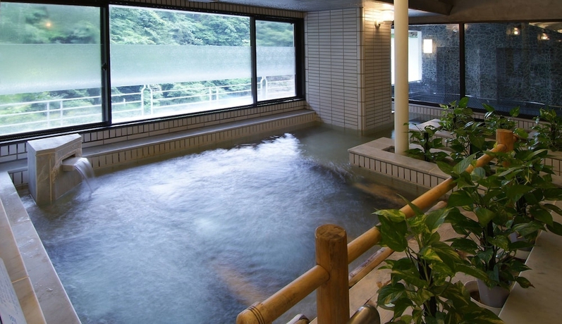 Imagen de la piscina del Hotel Isshinkan. Foto 15