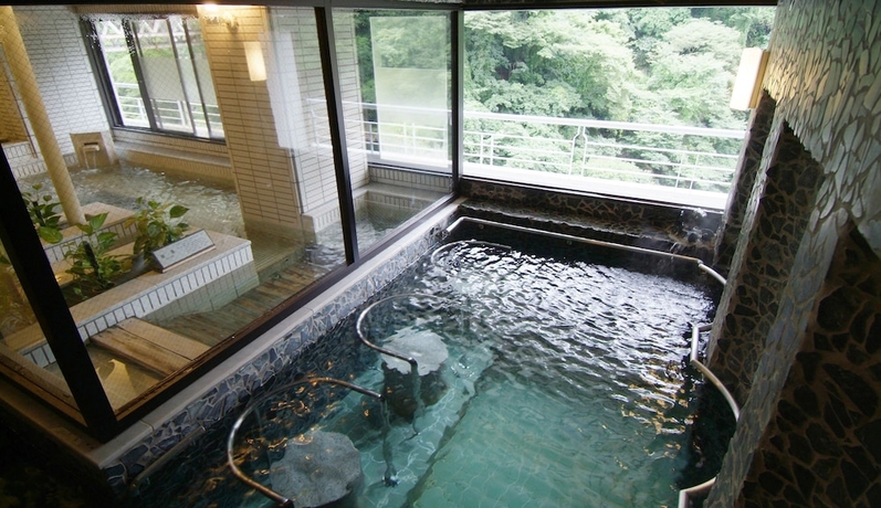 Imagen de la piscina del Hotel Isshinkan. Foto 16