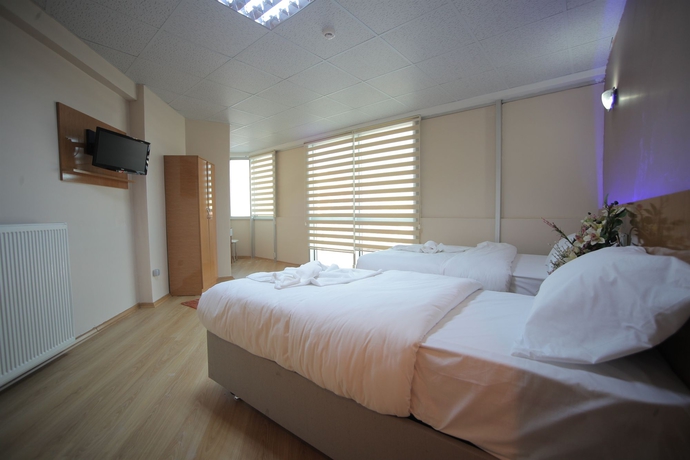 Imagen de la habitación del Hotel Istanbul Dedem 1. Foto 5