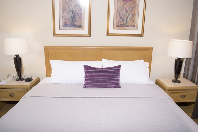 Imagen de la habitación del Hotel Istay Ciudad Victoria. Foto 9