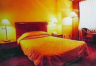 Imagen de la habitación del Hotel Itaewon. Foto 2