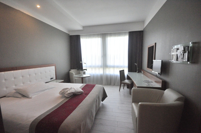 Imagen de la habitación del Hotel Italiana Hotels Florence. Foto 8