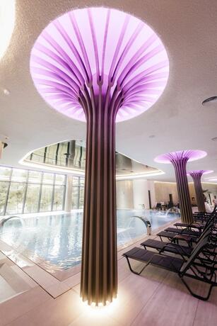 Imagen general del Hotel Ivascu. Foto 102