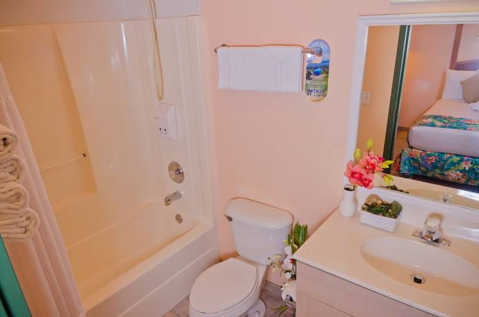 Imagen de la habitación del Hotel Ivey House Everglades Adventures. Foto 9