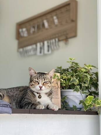 Imagen general del Hotel Ivory House Sriracha. Foto 4