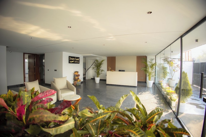 Imagen de los interiores del Hotel Ivory Leaf Stays. Foto 10