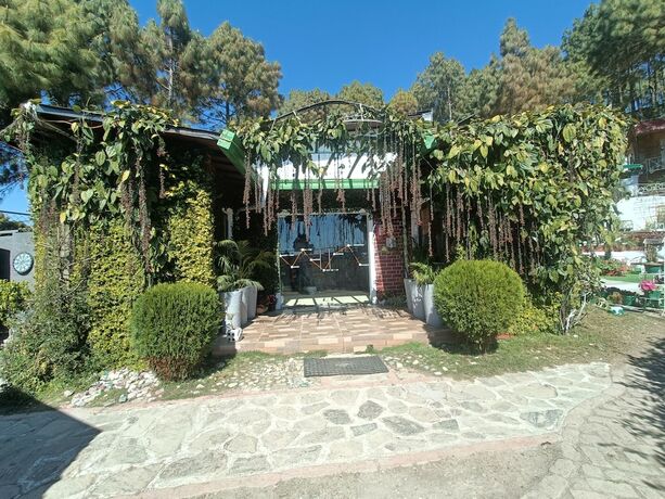 Imagen general del Hotel Ivy Green Resort. Foto 9