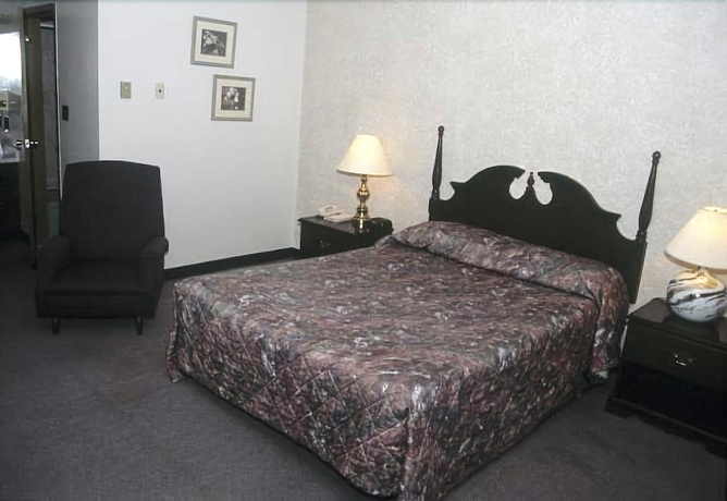 Imagen de la habitación del Hotel Ivy Rose Motor Inn. Foto 10