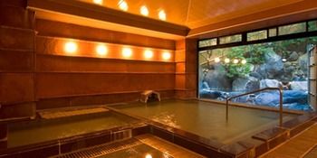 Imagen de la piscina del Hotel Iwaiyado Jyuan. Foto 15