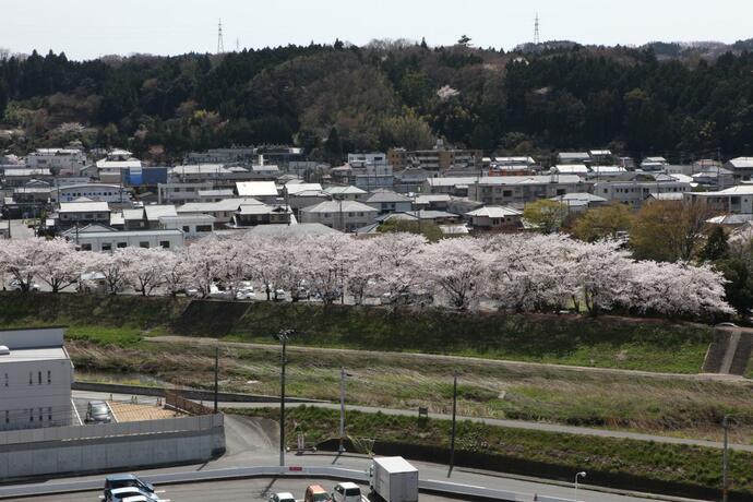 Imagen general del Hotel Iwaki Prince. Foto 24