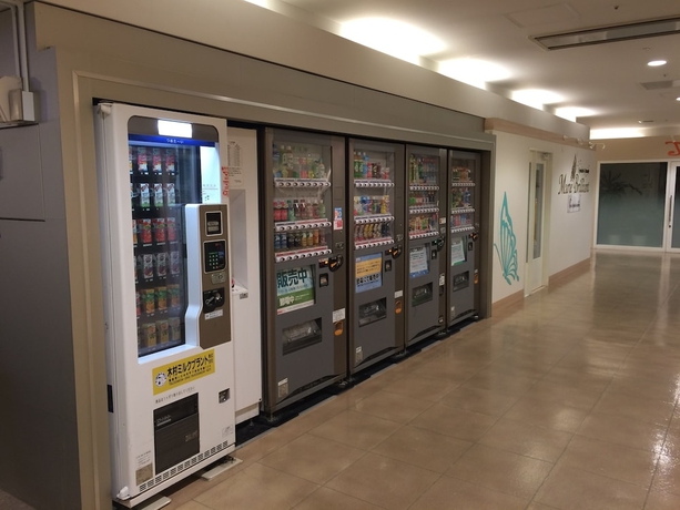 Imagen de los interiores del Hotel Iwaki Washington. Foto 19