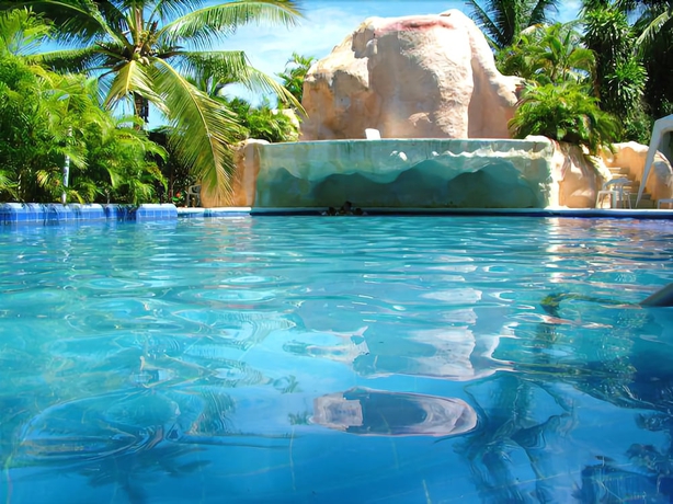 Imagen de la piscina del Hotel Ixtapa Palace Resort. Foto 9