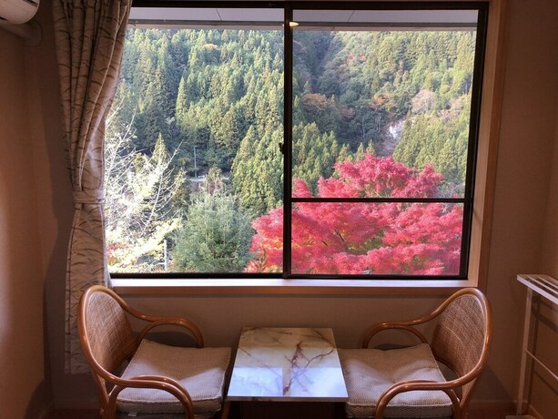 Imagen general del Hotel Iyanoyado Kazuraya. Foto 14