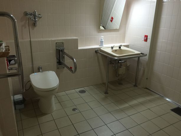 Imagen de los interiores del Hotel Izu Kogen Five Stars. Foto 8