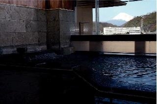 Imagen de la piscina del Hotel Izu Nagaoka Katsuragawa Saiho. Foto 7
