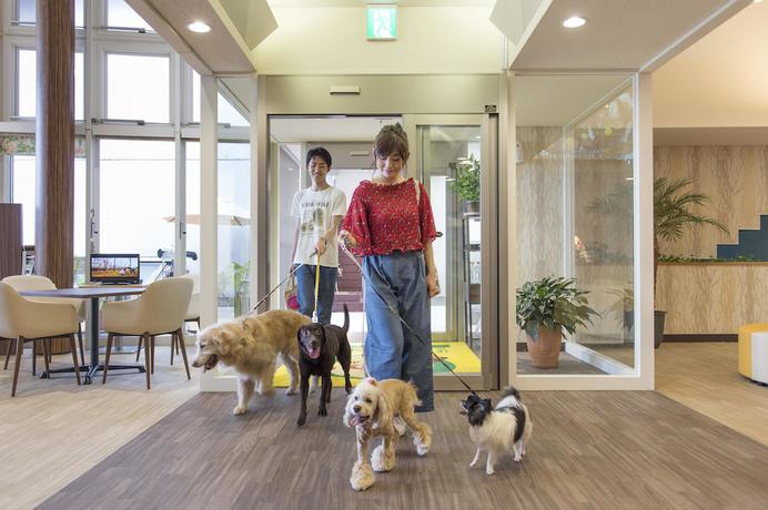 Imagen de los interiores del Hotel Izukogen Wanwan Paradise Condominium. Foto 4