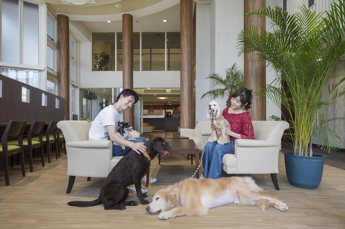 Imagen de los interiores del Hotel Izukogen Wanwan Paradise Condominium. Foto 7