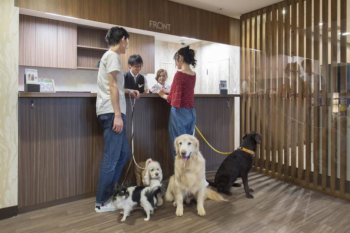 Imagen de los interiores del Hotel Izukogen Wanwan Paradise Condominium. Foto 9