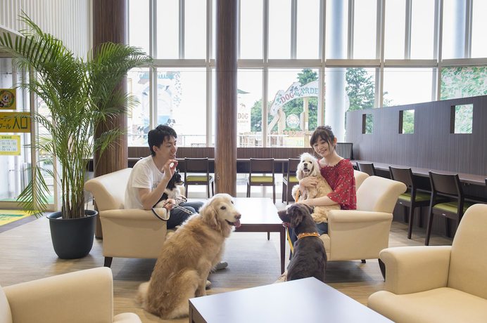 Imagen de los interiores del Hotel Izukogen Wanwan Paradise Condominium. Foto 10