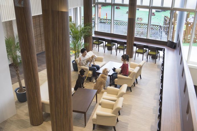 Imagen de los interiores del Hotel Izukogen Wanwan Paradise Condominium. Foto 11