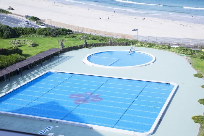 Imagen de la piscina del Hotel Izukyu. Foto 16