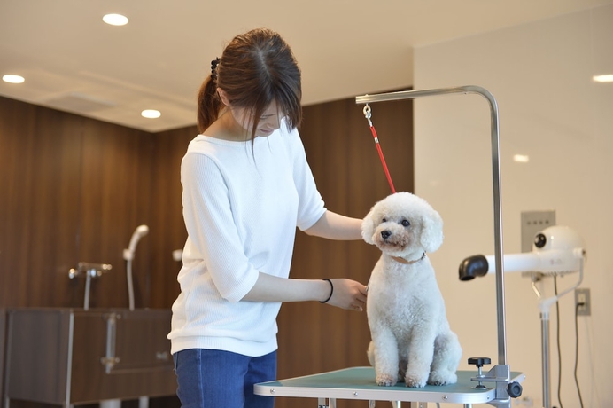 Imagen de los interiores del Hotel Izumigo Toba Dog Paradise. Foto 18