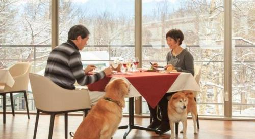 Imagen general del Hotel Izumigo Yatsugatake Dog Paradise Cottage. Foto 12