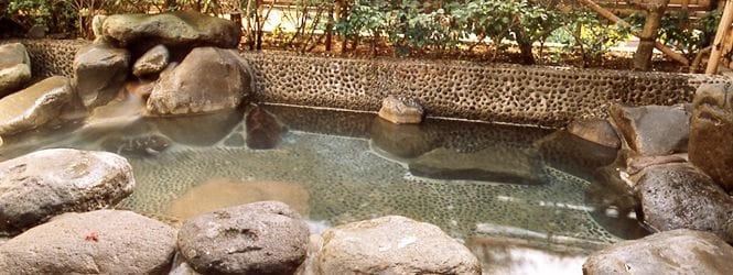Imagen general del Hotel Izunagaoka Onsen Futaba. Foto 2