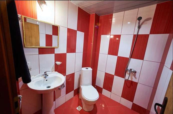 Imagen de la habitación del Hotel Izvora. Foto 13