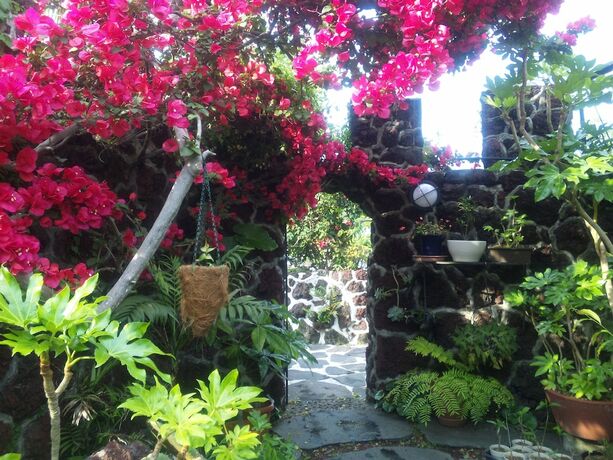 Imagen general del Hotel J Garden. Foto 2