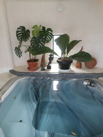 Imagen general del Hotel J Garden. Foto 4