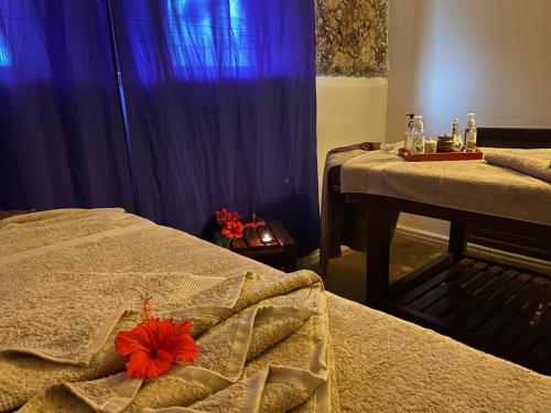 Imagen general del Hotel JAZ Amaluna - Adults Friendly 16 Years Plus. Foto 7